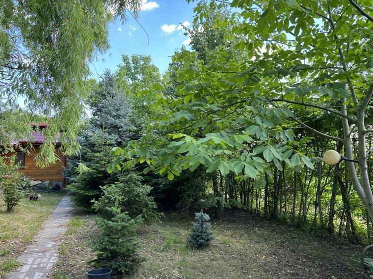 Casa-langa studiourile Buftea, 2 constructii, curte cu pomi, 2300mp, langa lac - 3