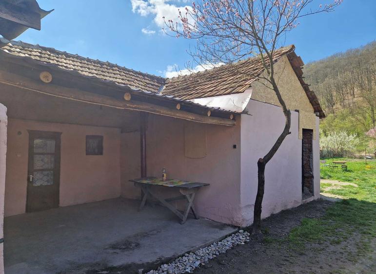 Casa de vanzare Lesnic HD - 3