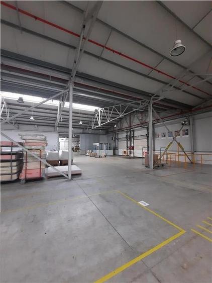 Spatiu Industrial - 6500 mp - Productie - Depozitare - 10