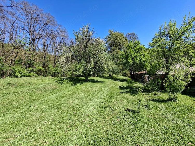 Oaza de lini?te ?i natura pura | Teren de vanzare in Runcu - Dobri?a, Gorj - 2