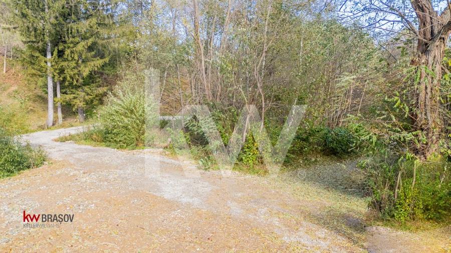 Vanzare teren intravilan 37723 mp Zarnesti Tohanita - 13