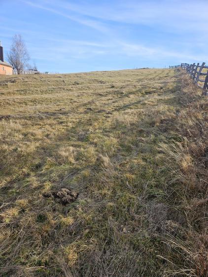 Teren de vanzare, Maguri, Cluj - 8