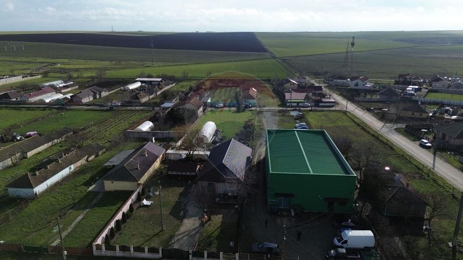 Hala industriala de vanzare in Poiana-Ovidiu - 1