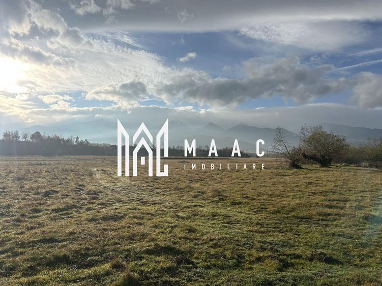 Teren cu potențial turistic I Cârțișoara I 3000 MP - 3