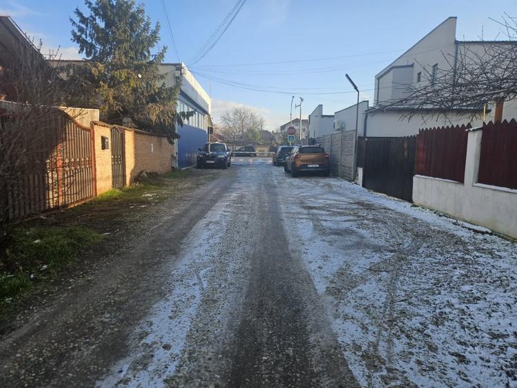 Teren 555mp in Clinceni central Mega Image - 8