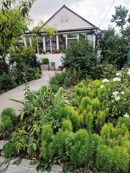 Casa cu suflet in centrul Medgidiei– gradina superba - 32