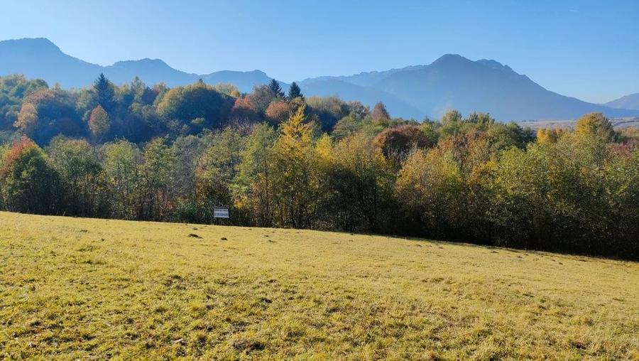 Teren zona Bran Tohanita! - 5