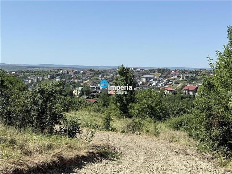 Teren de vanzare Copou - Viticultori - 5