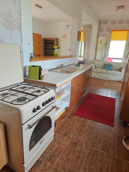 PESTERA CASA DE VANZARE - MOECIU! - 14