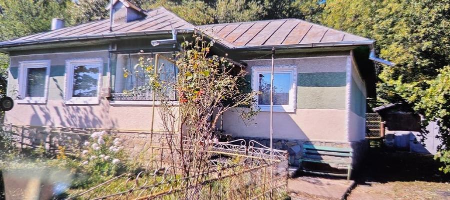 Casa batraneasca Poiana Campina - 1