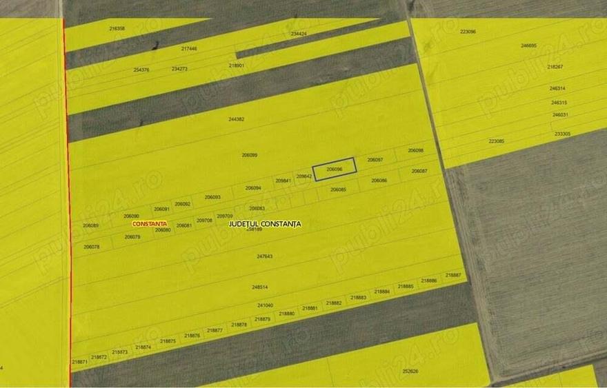 Teren Extravilan 28000 zona Schitul Sfanta Treime - Sere Constanta - 5