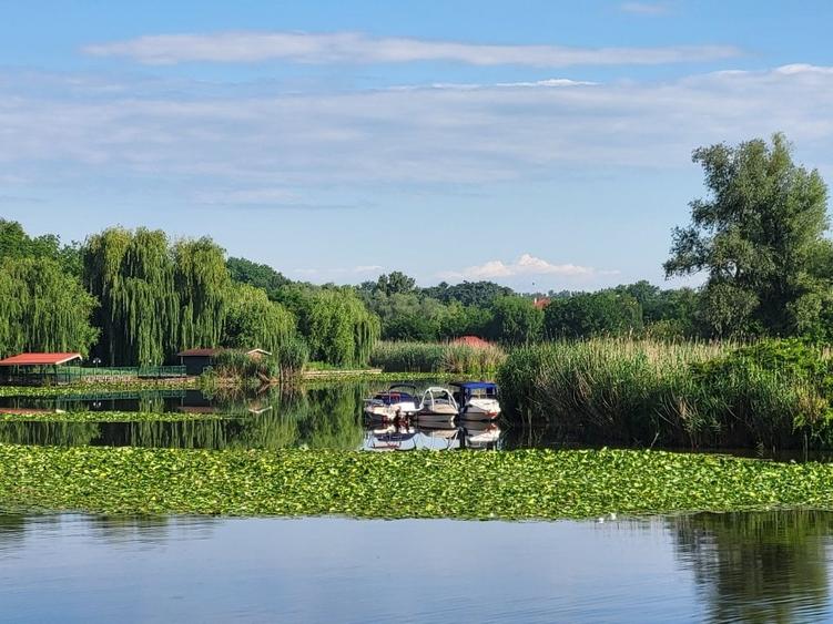 OCAZIE VANZARE TEREN CU DESCHIDERE LA LAC - 2