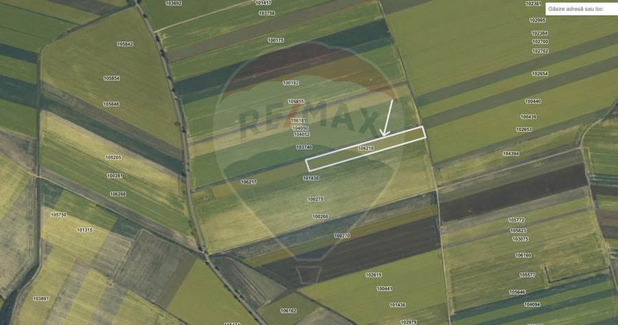Teren extravilan 2 parcele de 9.750 mp - Satul Nou, comuna Hălchiu - 6