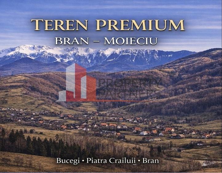Teren Bran | 3.520 mp | Vedere Bucegi & Castelul Bran - 7