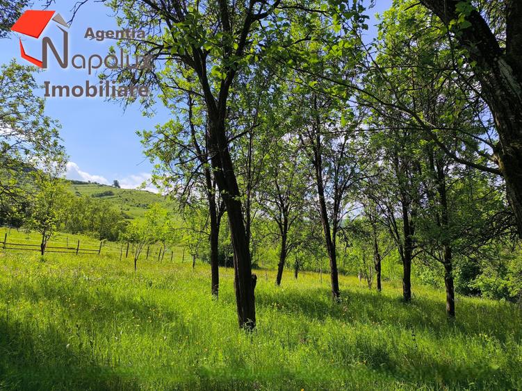 ✨ Teren cu potențial rezidențial și turistic | 3.000 m² | Exclusivitate Napolux - 3