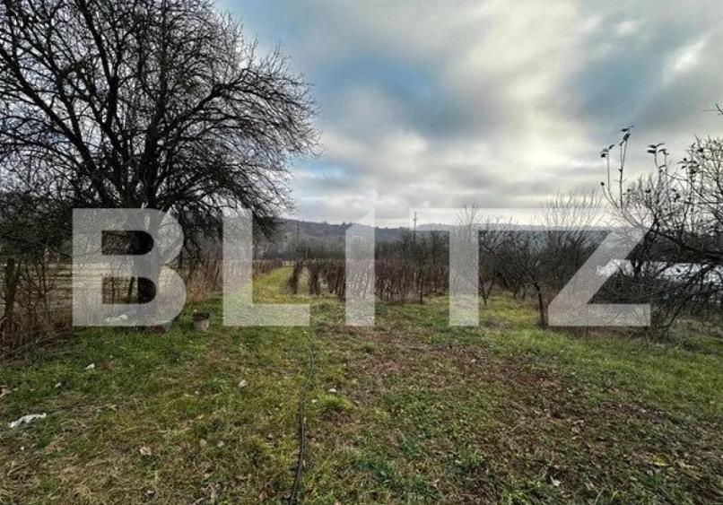 Teren intravilan 2792 mp, zona Balanesti - 1
