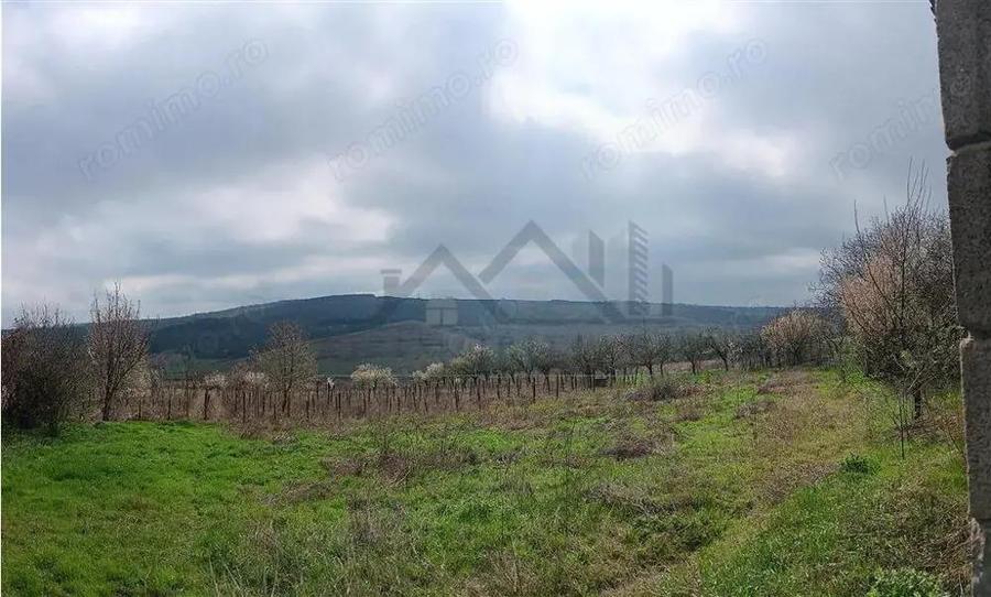 Aroneanu - Dorobant TEREN 46000mp PUZ realizat 59 de case la str principala cu toate utilitatile - 11