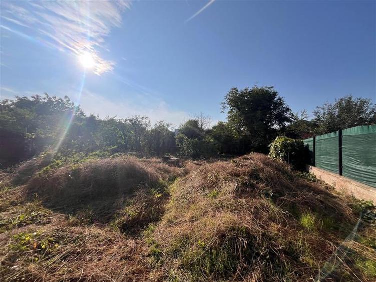 Timisoara, Vila Istorica Cu Teren Generos De 802 Mp. Zona Balcescu-Elisabetin - 31