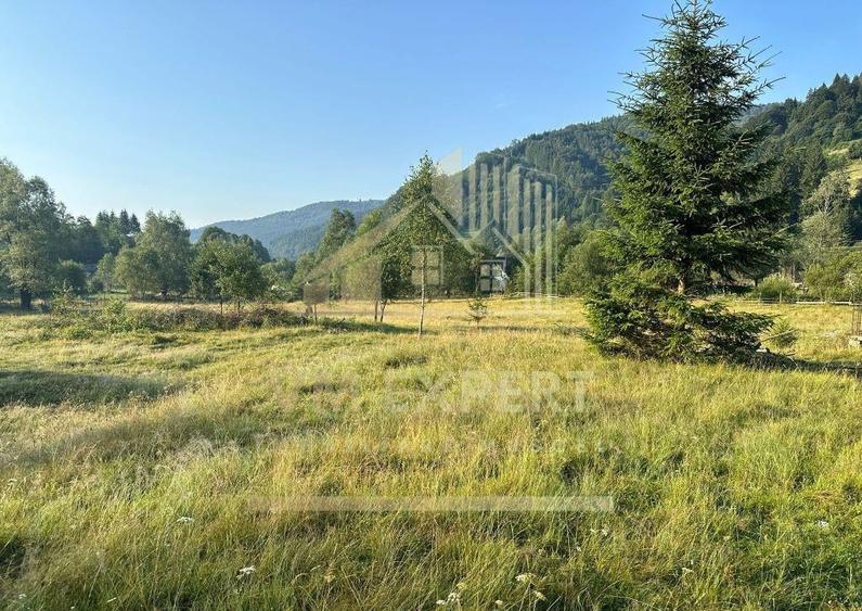 TEREN INTRAVILAN 500 MP SATIC- RUCAR - 3