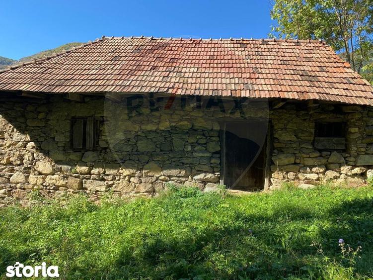 Casa din piatra la poalele Bedeleului Izvoarele, Alba - 5