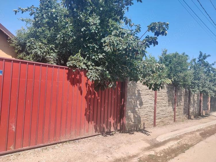 Casa Marsa Giurgiu - 9