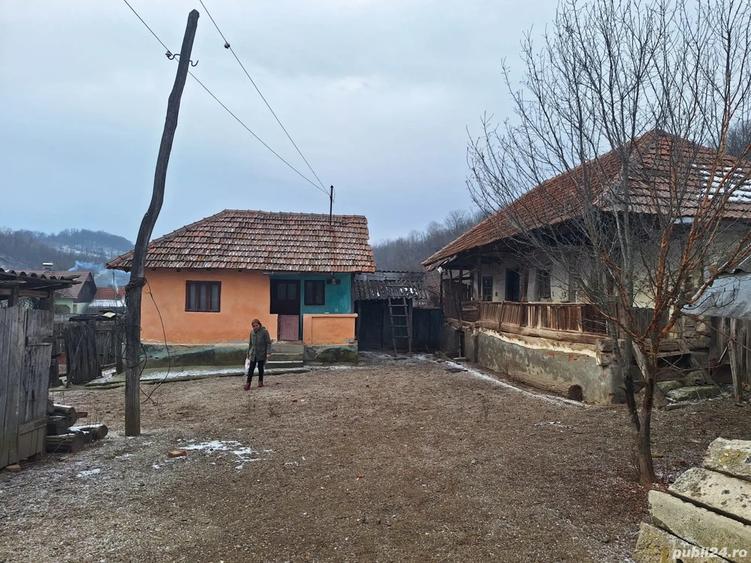 Casa de vanzare si multe articole artizanale - 13