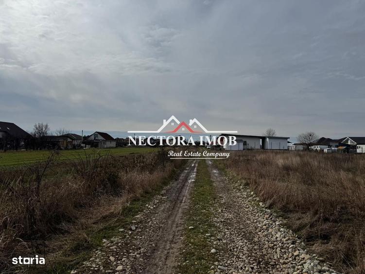 NECTORA IMOB-Teren Intravilan Zona Cihei,512 mp, Utilitati,Str.Privata - 4