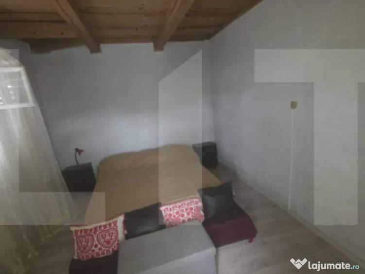 Casa taraneasca in inima naturii - 2