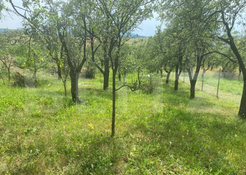 Teren intravilan 2774 mp, zona Dobrogeanu Gherea - 8