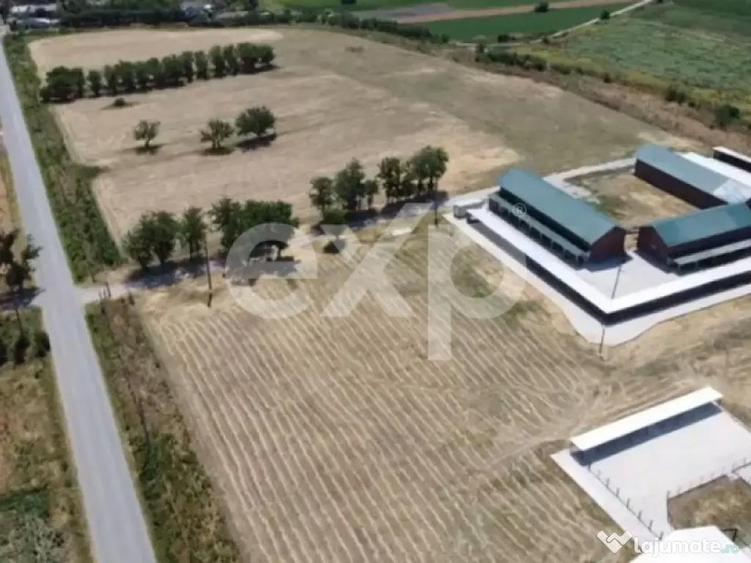 Black Angus Farm with authorized Slaughterhouse - 4