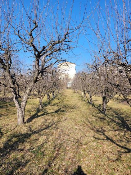 Teren intravilan cu suprafata de 6307 m2 in Pucioasa - 3