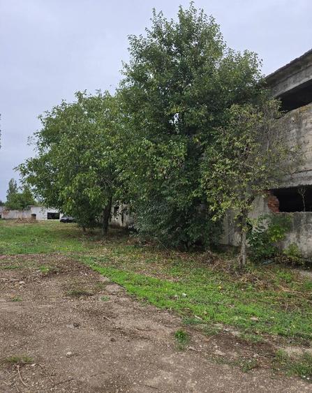 Hala , SC total 2048 MP , P+E, trifazic , teren 2000 mp, zona Borsului - 6