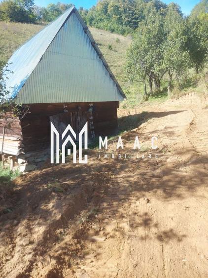 Super ofertă 35000 teren in Muntii Apuseni - 23