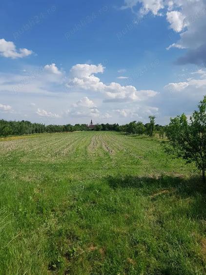 Vand proprietate in Miersig, jud.Bihor, la aproximativ 20 km de Oradea. - 6