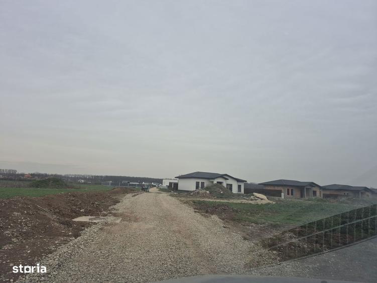 Lot Balotesti,electricitate,gaz,canalizare,apa curenta la teren - 9