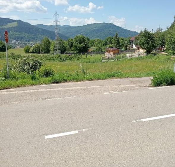 Pământ de vânzare: sat Viișoara, comuna Alexandru cel Bun (zona Gloduri drumul spre Bisericani) - 5