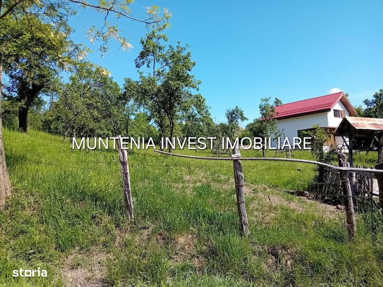 Teren 5596 mp. Com.Bradulet ,sat Galesu. - 3