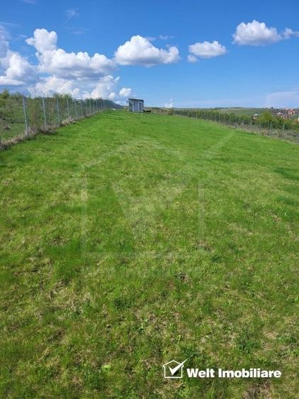 Teren extravilan 2000 mp, imprejmuit, panorama superba – Salicea (Cluj) - 1