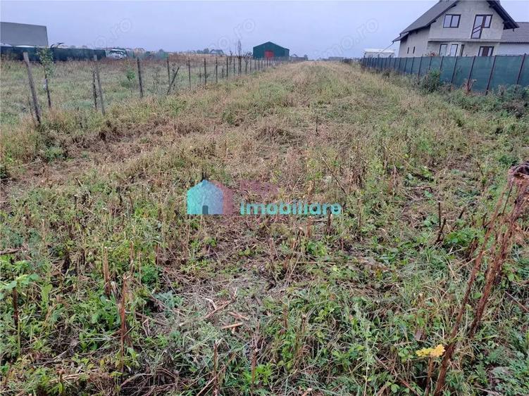 Teren intravilan 2700 mp Dumbraveni - 7