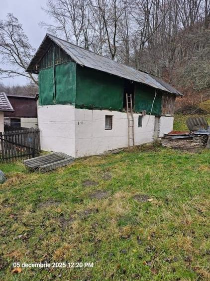 Casa modernizata in Campulung Muscel,padure proprie, toate utilitatile - 8