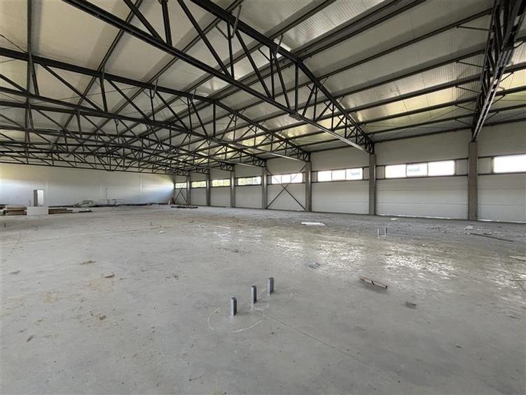 Inchiriere depozit/hala/spatiu industrial Chitila - Oxigenului, ILFOV - 10