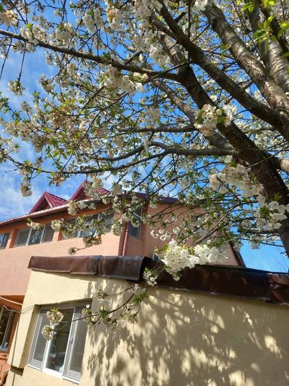 Casa de vanzare 5 camere S+P+E, Movilita, zona linistita in apropiere de lac, 40km de Bucuresti - 7