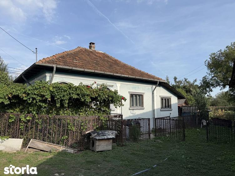 Vand Casa Batraneasca + Teren 1754 mp Com. Malureni Sat Bune?ti Arge? - 4