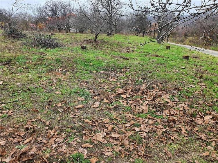 RECO Teren  in Oradea - 7