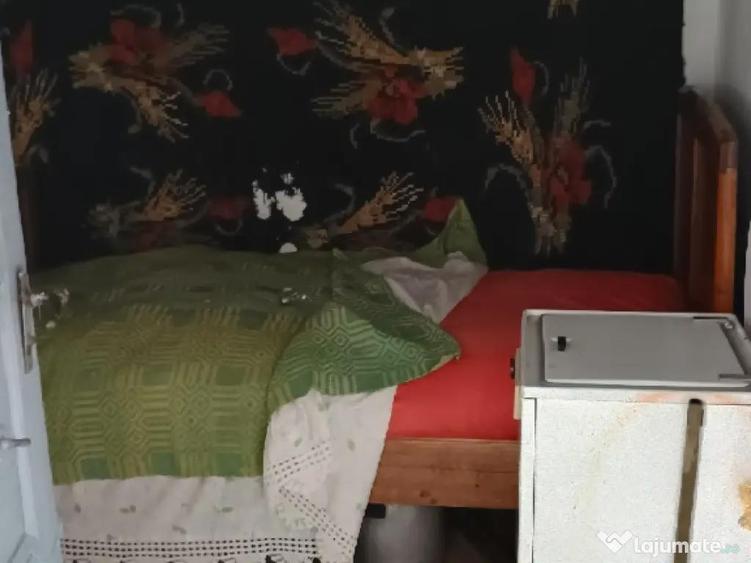 Casa batraneasca Valeanca-Vilane?ti Breaza Buzau - 15
