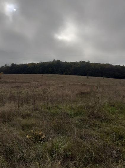 Teren intravilan cu toate utilitatille S=11600 - 3