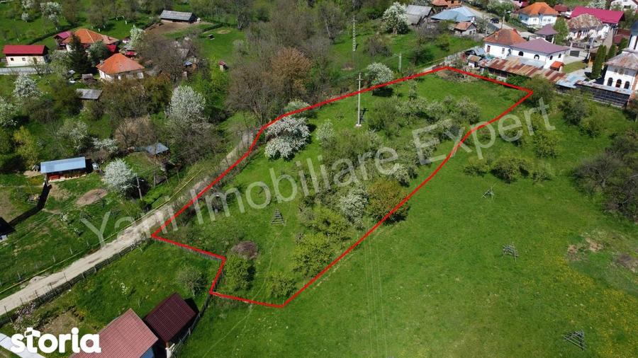 Teren 2677 mp de vanzare in comuna Valea Ia?ului, jude? Arge?. - 4