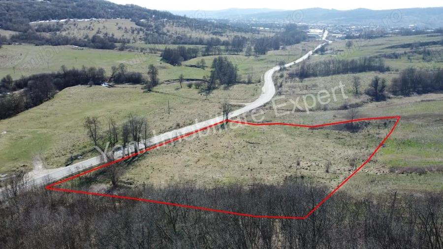Teren 10.000 mp de vanzare in comuna Valea Ia?ului, jude? Arge?. - 8