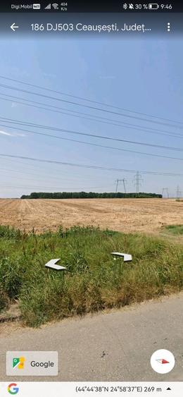 20 Ha Padure stejar la 10 km de Pitesti - 4