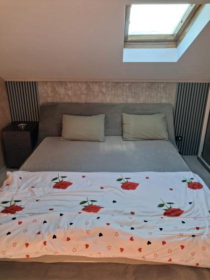 Parc Carol 3 Camere Mansarda - 9